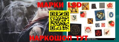 тгк Майкоп