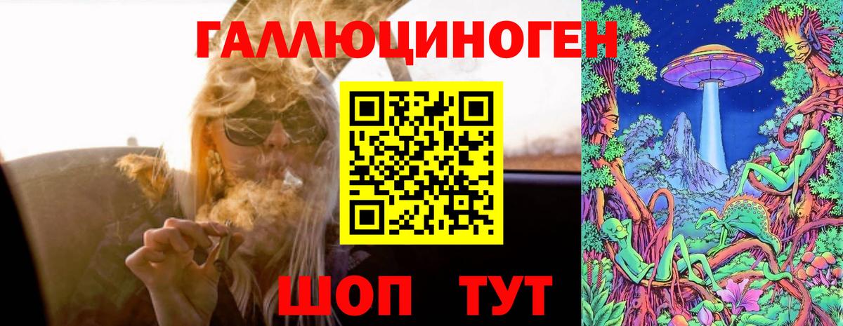 Богданович  Галлюциногенные грибы MAGIC MUSHROOMS  Вход с VPN 