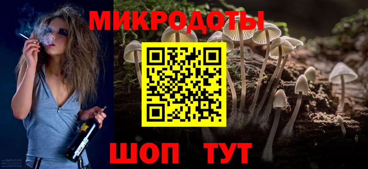 Псилоцибиновые грибы прущие грибы Богданович