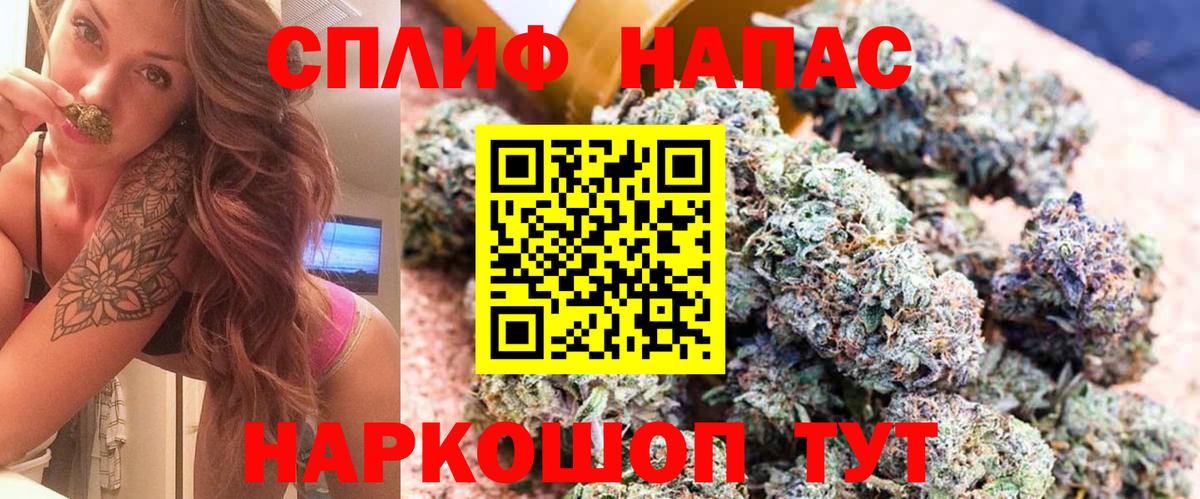 Шишки марихуана Amnesia Богданович